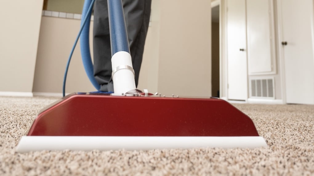 carpet cleaning service in ventura