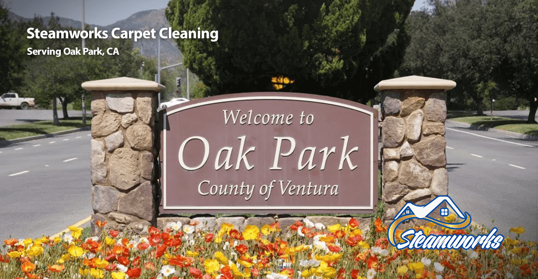 cleaning services in oak park