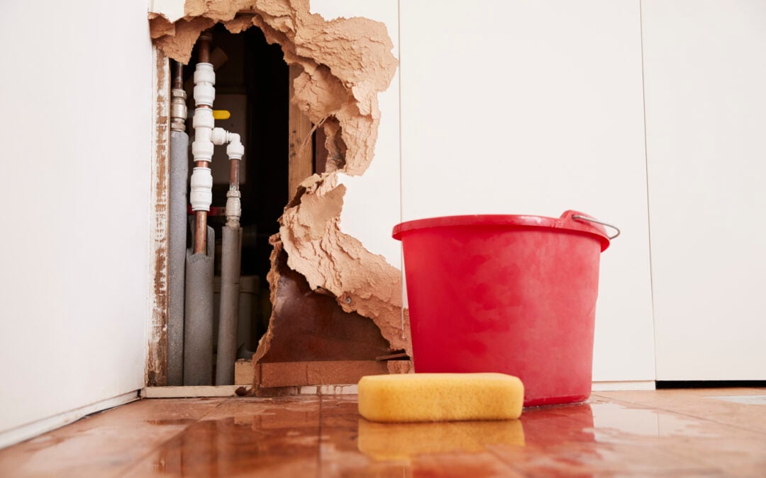 Immediate Actions to Manage Water Damage in Commercial Spaces