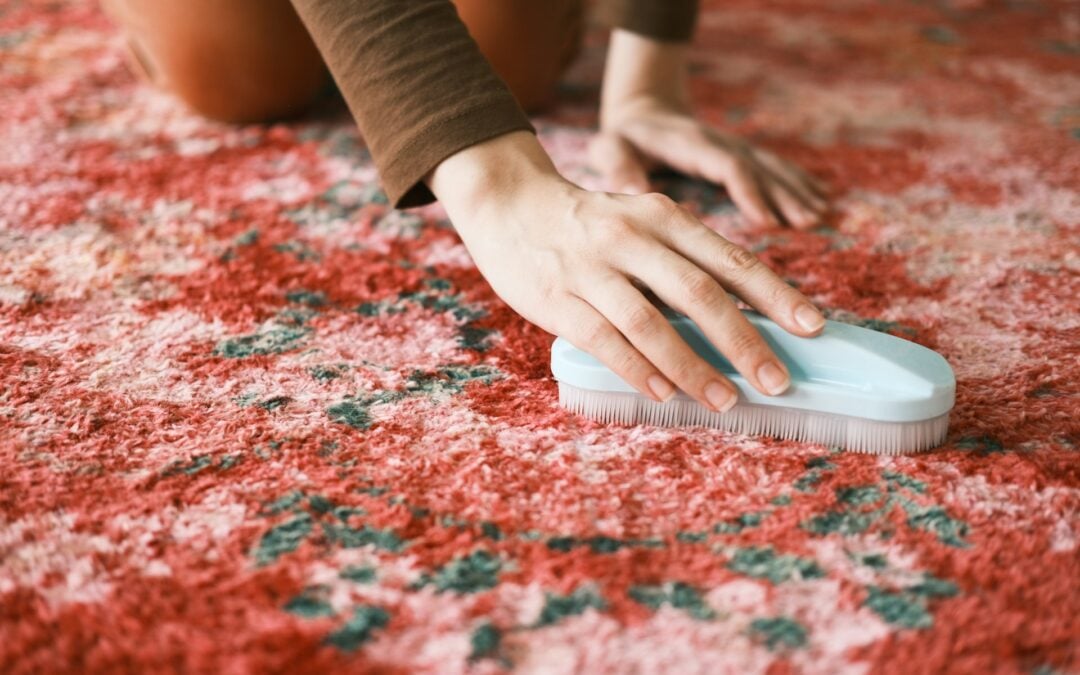 Carpet Cleaning