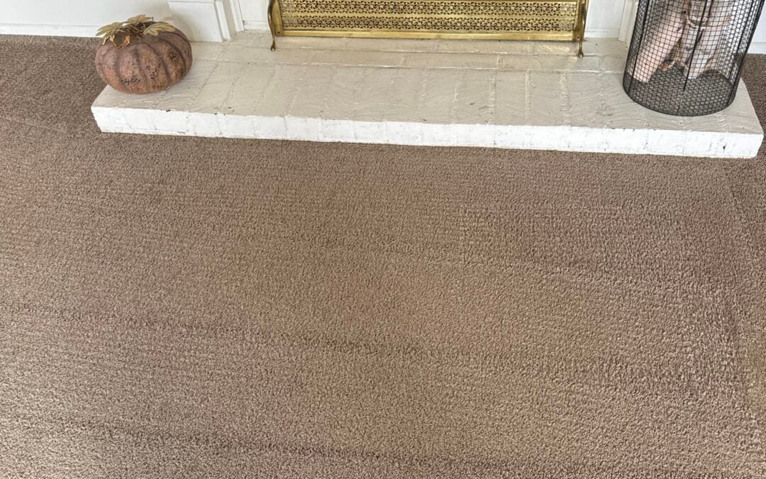 Pet Stain & Carpet Cleaning Ventura, CA