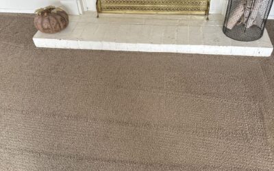Pet Stain & Carpet Cleaning Ventura, CA