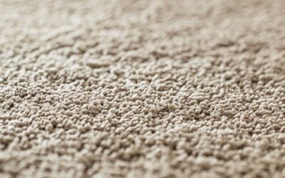 Advanced Textile Restoration: Carpet Cleaning in Ventura, CA