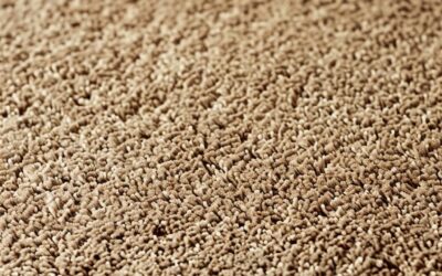 Essential Tips for Professional Carpet Cleaning in Ventura