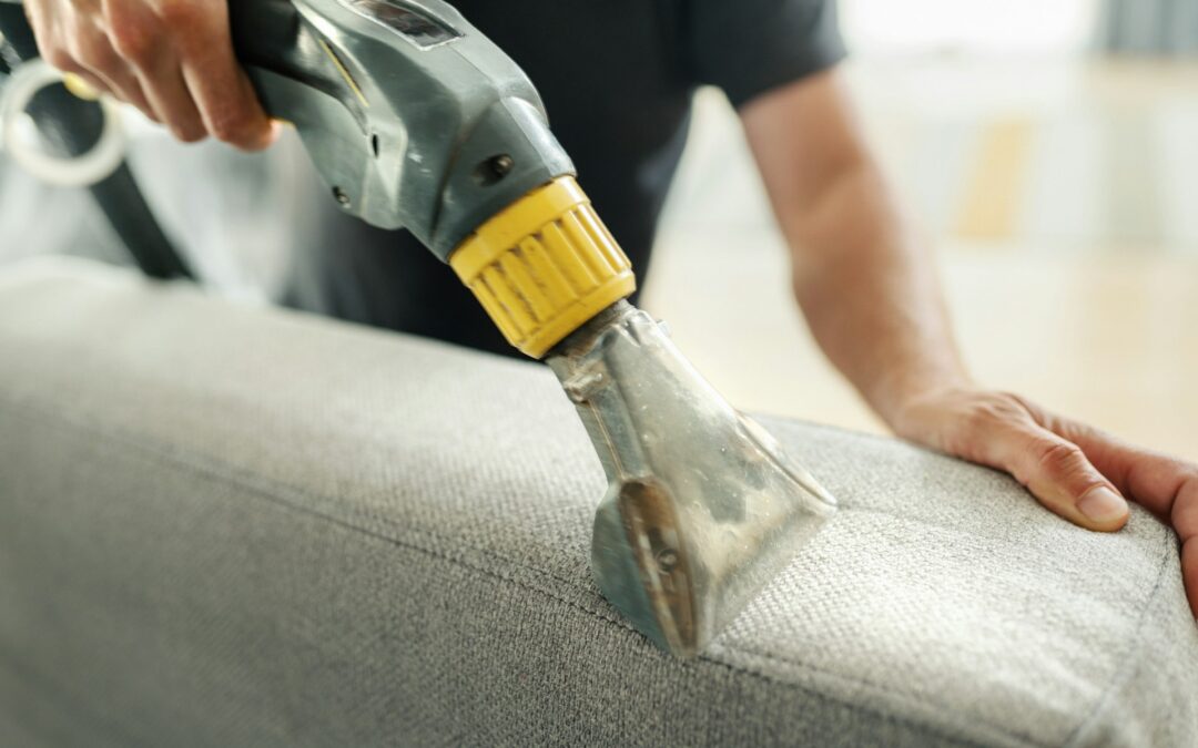 Dealing with Pet Odors on Upholstery